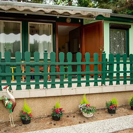 Lovely Summerhouse 40km From Berlin!